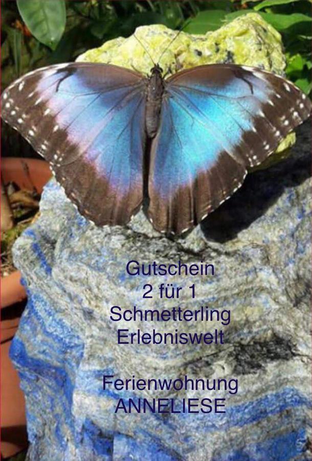 Anneliese Διαμέρισμα Pfronten Εξωτερικό φωτογραφία